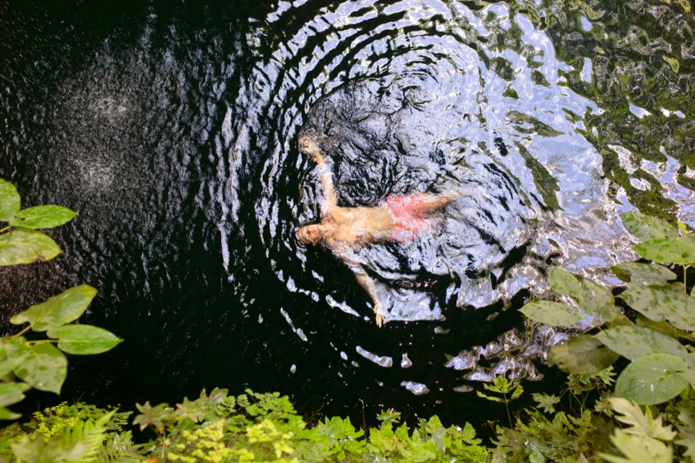 Chichén Itzá con cenote sagrado, tour Deluxe