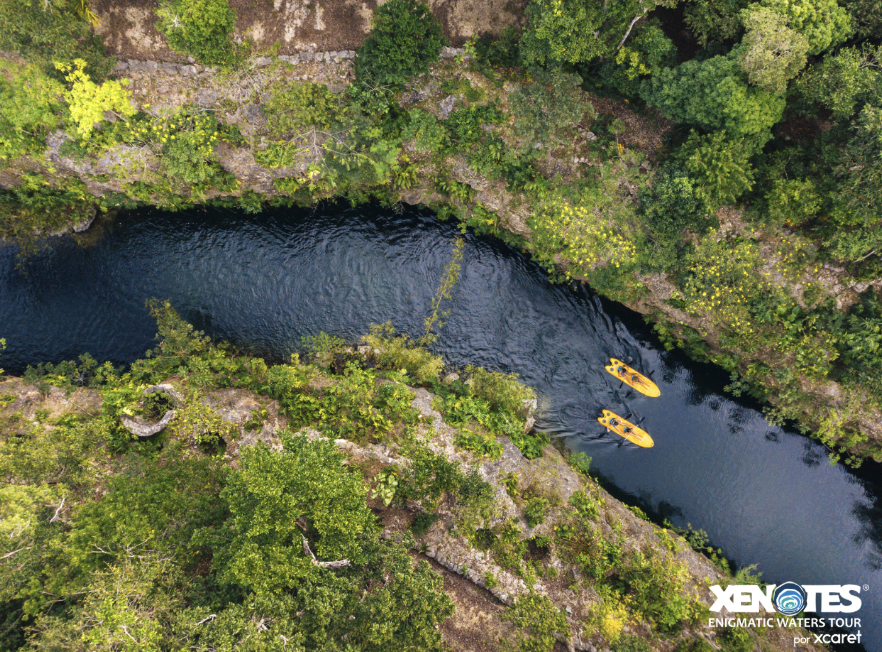 Xenotes — tour por 4 cenotes únicos en la selva maya